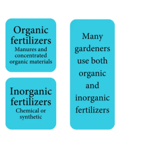 Is it time to fertilize? Will you use organic or inorganic fertilizers?