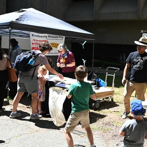 Bohart Museum graduate student and researcher Socrates Letana tosses paper butterflies to the net holders, as Professor Fran Keller (background) of Folsom Lake College staffs the California butterfly table. (Photo by Kathy Keatley Garvey)