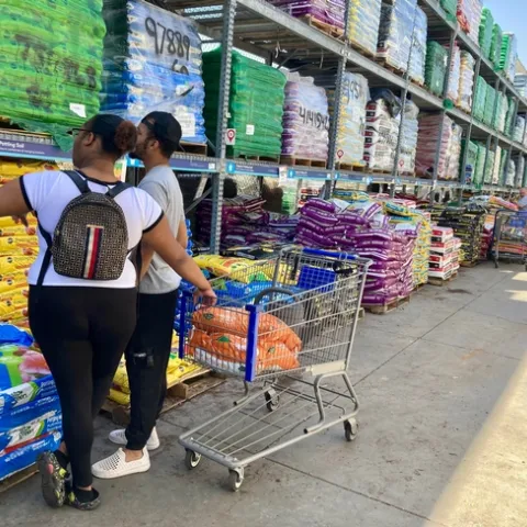 A wide array of potting soil mixes are available in big box stores and nurseries. (Photo: Jeannette Warnert)