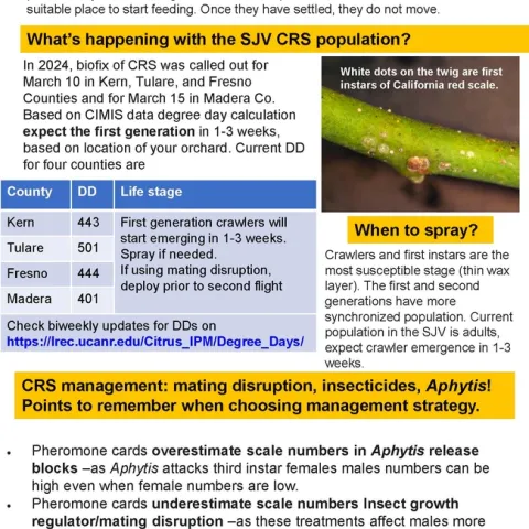 sandipa California Red Scale May 2024 Page 1