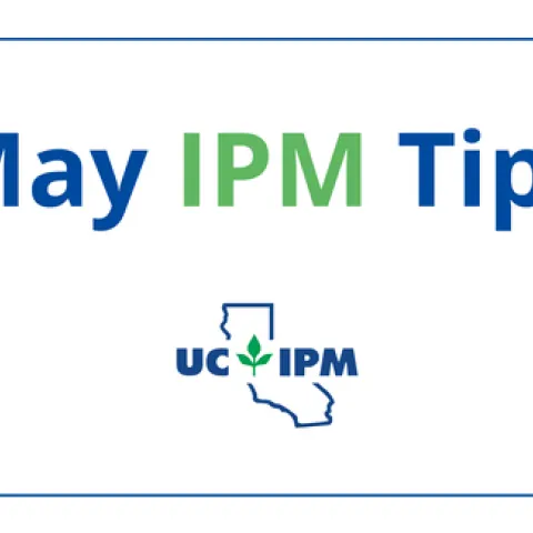 May IPM tips