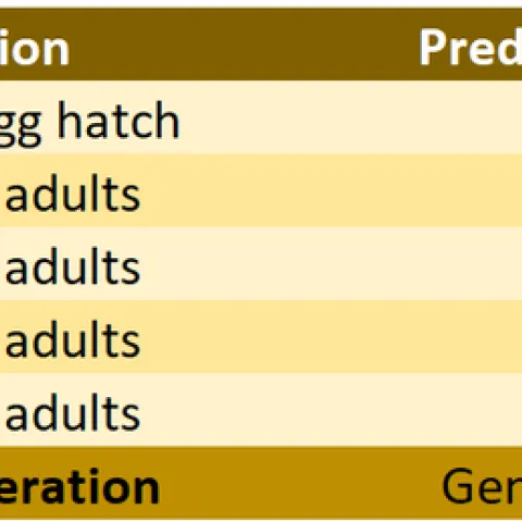 20240506 6th report table
