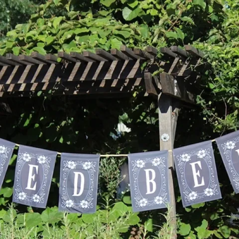Feed Bees banner at the UC Davis Bee Haven