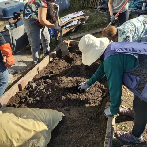 Con la ayuda de Maestro de Jardineros de UC del condado de Alameda, personal del programa CalFresh Healthy Living de UCCE y residentes convirtieron un abandonado jardín de flores ubicado detrás de las instalaciones del Proyecto para Indigentes South County en un jardín comestible. Fotografía por Tuline Baykal.