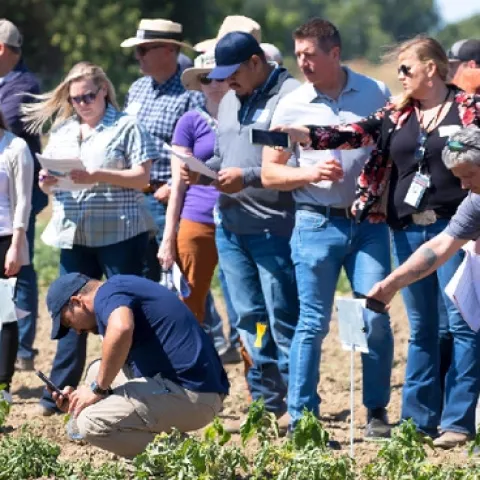 Attendees at Weed Day 2023