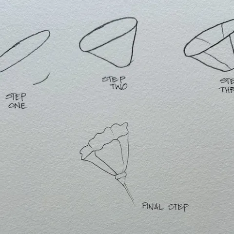 All drawings by Lisa Rico