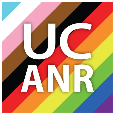 LGBTQ+ square image with all the colors of inclusion