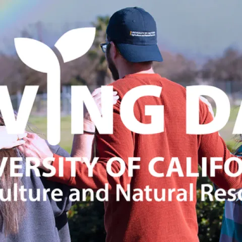 Backs of people wearing UC ANR hats backwards with a rainbow on the left side.
