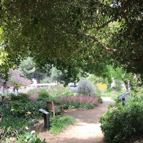 Ruth Storer Garden. photos by Karen Metz