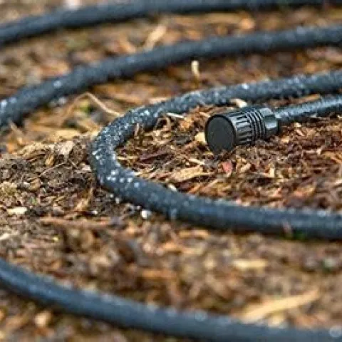 Figure 1 Feature 3 How Much Water