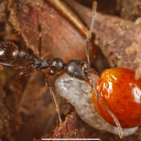 Mike Dunn Roads End Naturalist
