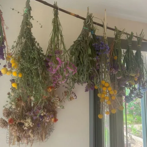 From the Garden Fig 1