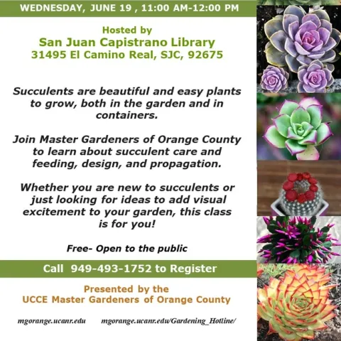 Unlock the Secrets of Succulent Success – Join Our Master Class