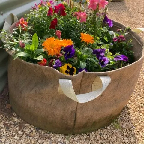 Plant flowers in the garden or near the garden to attract pollinators. Here a large pot of flowering plants is adjacent to the garden bed. (Photo: Ann Edahl)