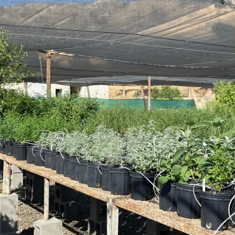 photos by Ina Rommeck