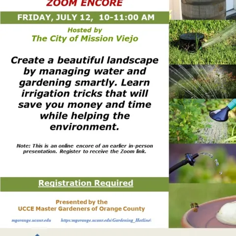 Save Water, Save Money! Join Our Water-Smart Gardening Zoom Encore