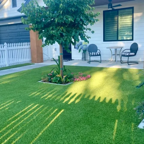 Synthetic lawns do not support habitat for birds, other pollinators or the microbes found in healthy soil. (Photo: Jeannette Warnert)