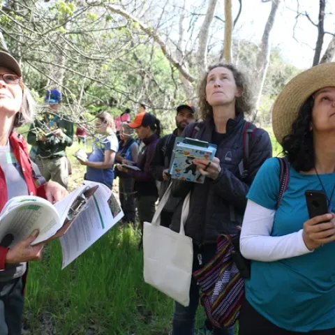 A group of California Naturalist collect data in a forest