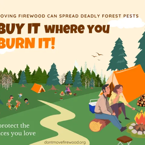 Buy it where you burn it!