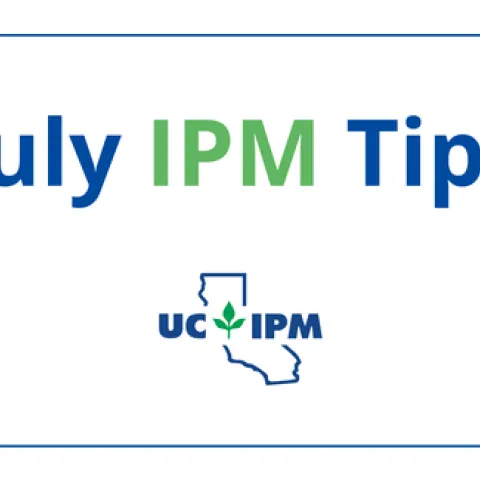 Pest prevention tips for July.