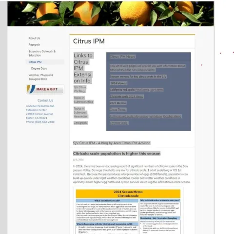 citricola scale blog