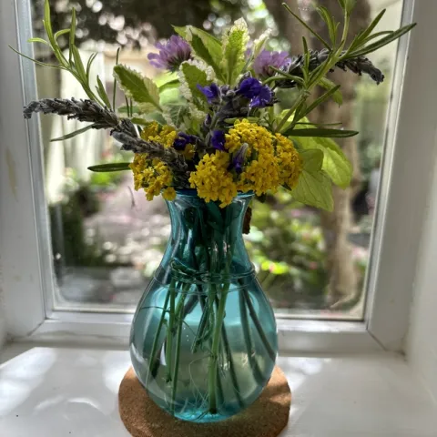 Yarrow 'Little Moonshine' with salvia, pincushion flowers and herbs