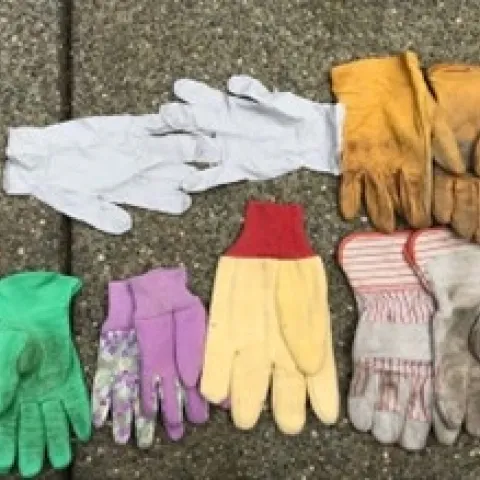 Photo 1 - Photo credit: Bob Niklewicz