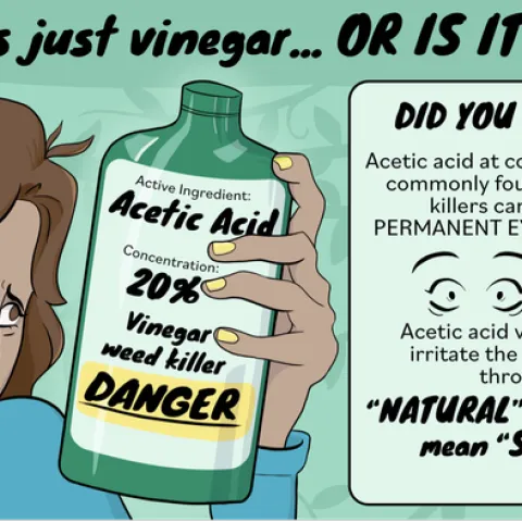 A person looking at a bottle of 20% acetic acid vinegar weed killer with a signal word DANGER.