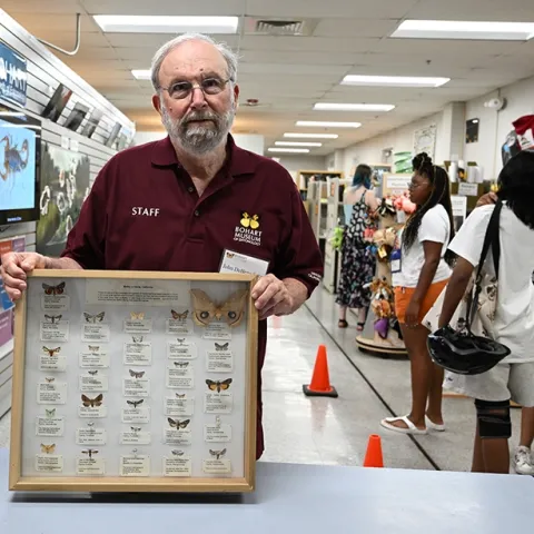 John "Moth Man" DeBenedictus, a research associate at the Bohart Museum of Entomology, showed part of his moth collection at the Bohart open house. (Photo by Kathy Keatley Garvey)