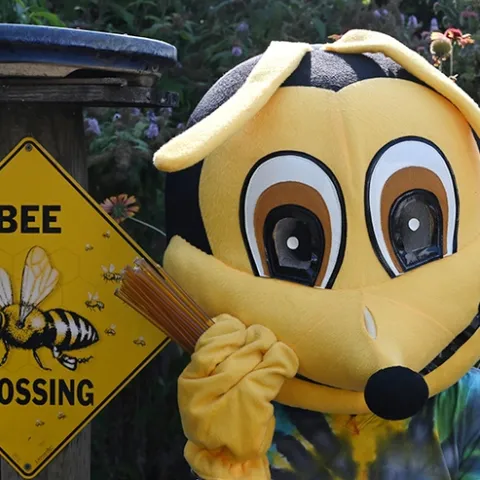 At the Vacaville Museum Children's Party on Aug. 8, a walk-around Queen Bee (costume from the UC Davis-based California Master Beekeeper Program) will hand out honey sticks donated by Z Specialty Food, Woodland. (Photo by Kathy Keatley Garvey)