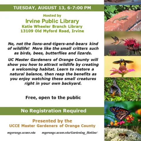 Invite Nature into Your Backyard – Join Our Wildlife Habitat Event