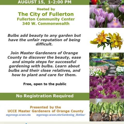 Add Color to Your Garden with Beautiful Bulbs – Join Our Free Workshop
