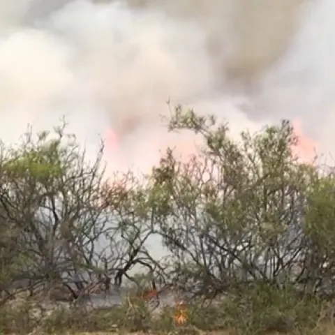 El humo de los incedios puede afectar a la salud de las comunidades.