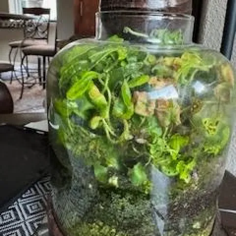 photos by Jennifer DeDora