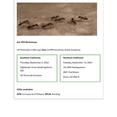 Ant Workshop Page 1