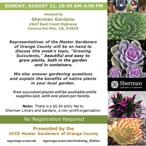 Got Gardening Questions? Meet Us at Our Booth – Succulents & More
