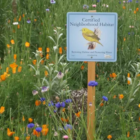 Neighborhood Habitat Certification is the topic of the first Master Gardener workshop this Fall. Altacal Audubon Society