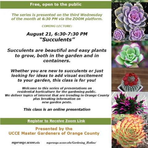 CORRECTED - Master Succulent Centerpieces in Our Next Zoom Workshop