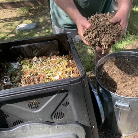 Add shredded dry leaves.