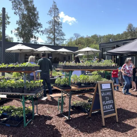 Five people shop among racks of seedlings. A chalkboard sandwich board reads: "Welcome to Flatbed Farms."