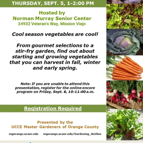 Start Your Cool Season Garden Now—Join Us to Learn More