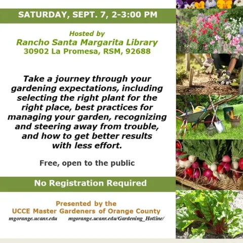 From Chaos to Control: Revolutionize Your Gardening with Expert Tips