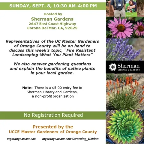 Discover Fire-Resistant Plants: Get Expert Advice at Sherman Gardens This Week