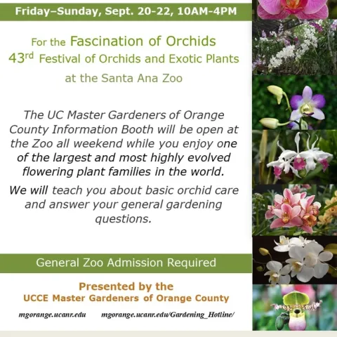 Discover Orchid Secrets! Visit Our Booth at the Fascination of Orchids Festival