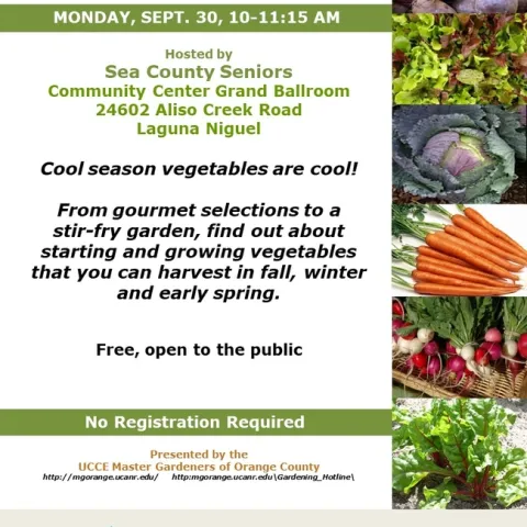 Turn Your Garden into a Winter Wonderland of Veggies! Learn How Now