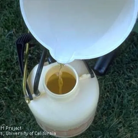 A white bucket of clear liquid being poured into a smaller container.