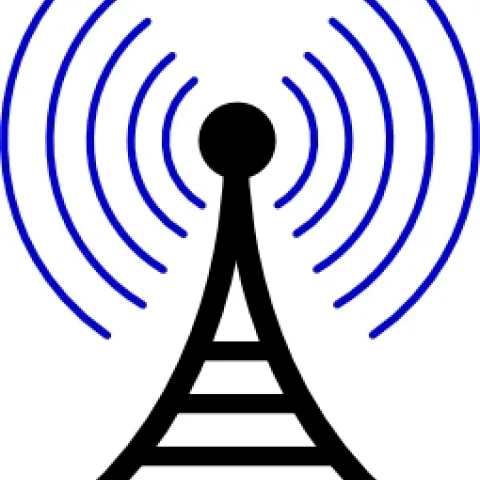 Unlock the Secrets of Growing Citrus and Avocados—Listen Now