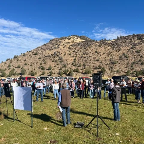 Large group of people stand under blue skies on grass with a shrub-studded hill in backdrop, listening to speakers.