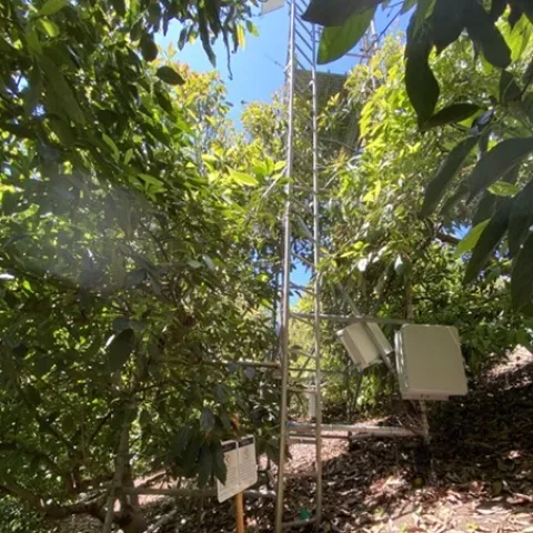 ET statoin and sensors avocado