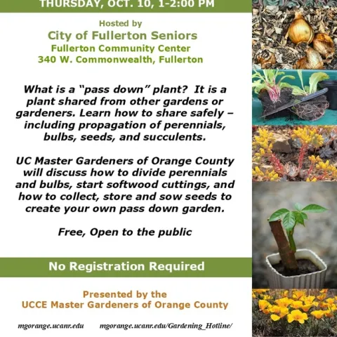 Pass Down Your Garden: Master Gardeners Share Tips & Tricks